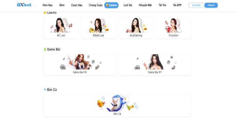 Mở rộng thị trường kinh doanh sang nhiều lĩnh vực mới